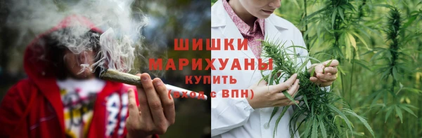 крисы Белокуриха