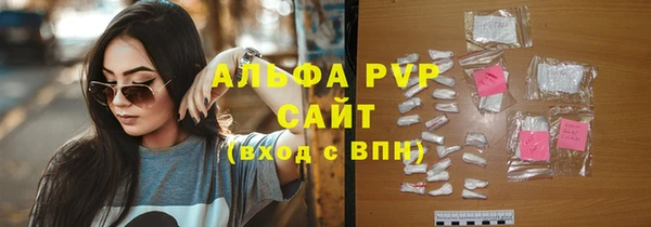 крисы Белокуриха