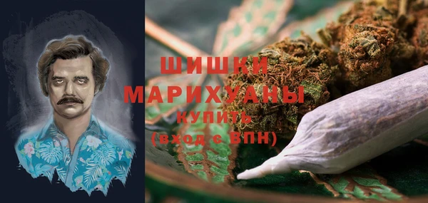 крисы Белокуриха