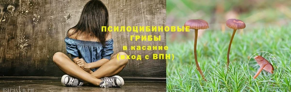a pvp Беломорск