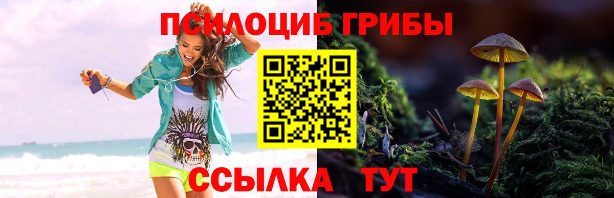 Галлюциногенные грибы MAGIC MUSHROOMS Гай