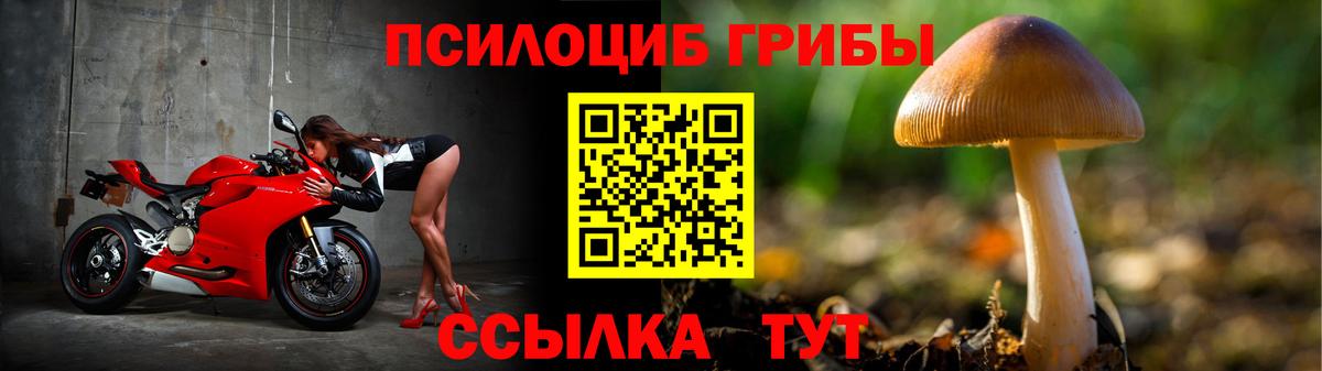 где купить   Вход с VPN  Гай  Галлюциногенные грибы MAGIC MUSHROOMS 