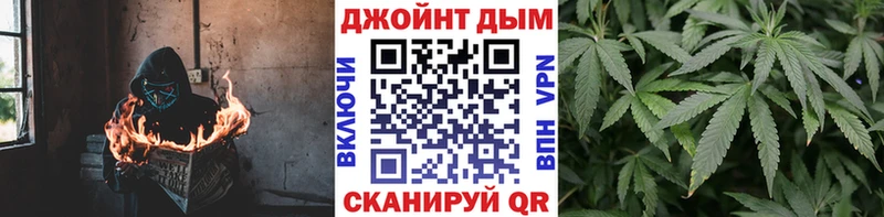 Бошки Шишки планчик Гай